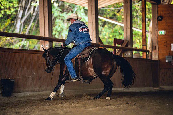 Was ist Reining beim Westernreiten?