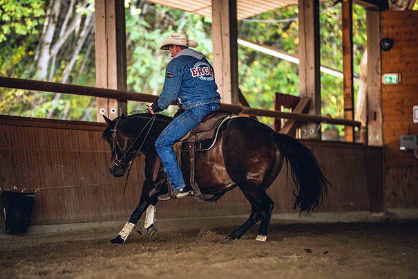 Was ist Reining beim Westernreiten?